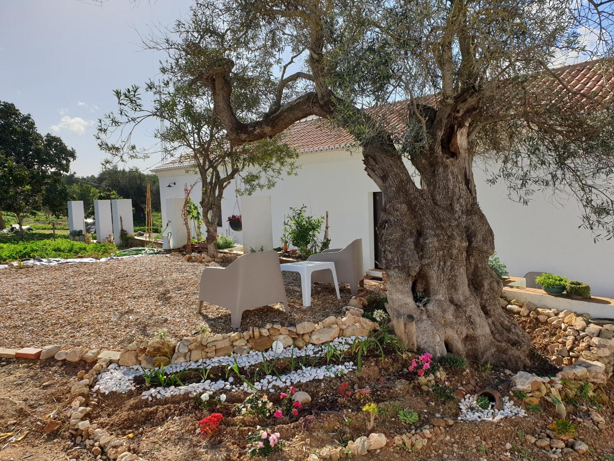 Monte Das Acoteias - Agroturismo Tavira Luaran gambar