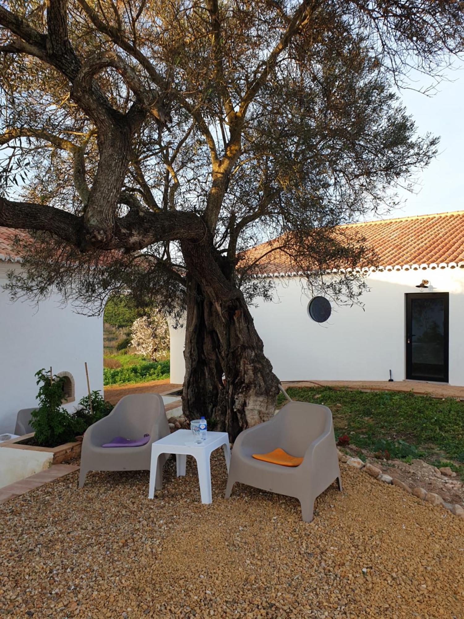 Monte Das Acoteias - Agroturismo Tavira Luaran gambar